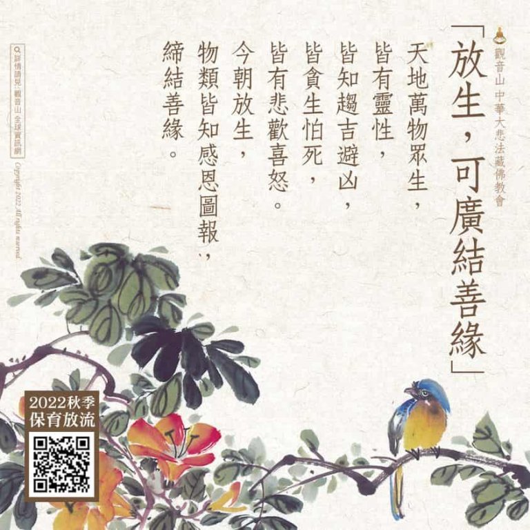 放生功德利益，放生可廣結善緣，觀音山放生，觀音山保育放流，龍德上師，龍德上師保育放流