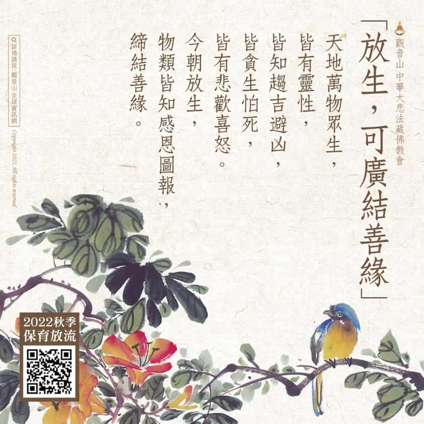 放生功德利益，放生可廣結善緣，觀音山放生，觀音山保育放流，龍德上師，龍德上師保育放流