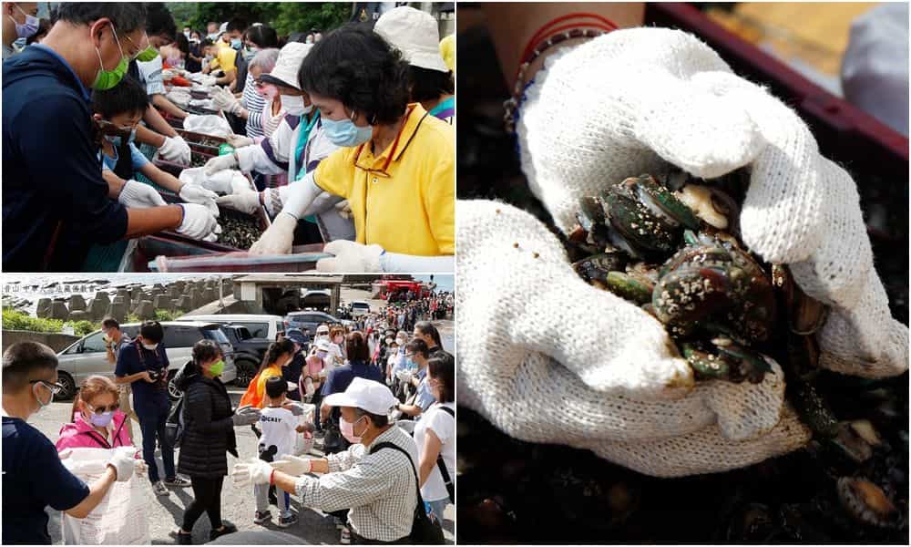 觀音山宜蘭秋季放流九孔篇，現場眾多民眾積極響應放生九孔，龍德上師，龍德上師保育放流，觀音山放生