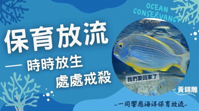 觀音山保育放流，時時放生，處處戒殺，龍德上師保育放流，龍德上師，觀音山放生