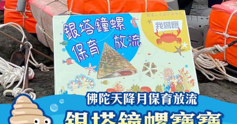 觀音山和澎湖水試所合作保育放流，施放6萬多顆銀塔鐘螺寶寶返回大海，觀音山放生，龍德上師，龍德上師保育放流，銀塔鐘螺復育