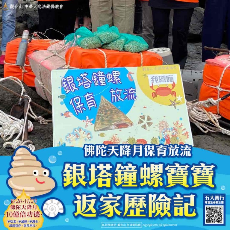 觀音山和澎湖水試所合作保育放流，施放6萬多顆銀塔鐘螺寶寶返回大海，觀音山放生，龍德上師，龍德上師保育放流，銀塔鐘螺復育