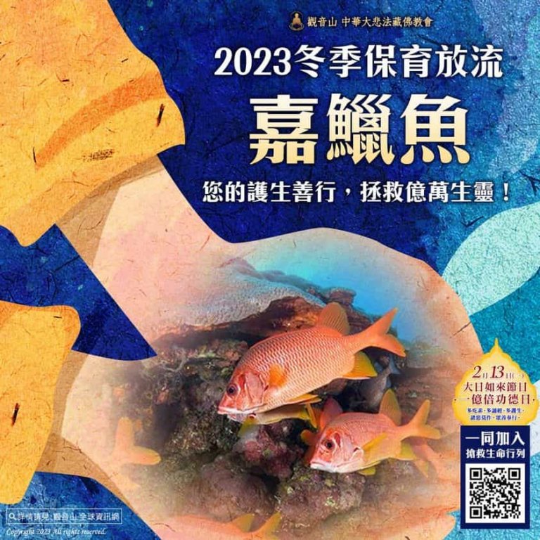 觀音山保育放流 冬季保育放流 嘉鱲魚放生 護生 龍德上師保育放流 龍德上師護生慈善 龍德上師