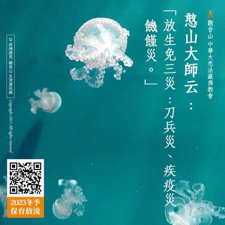 放生功德，放生免三災：刀兵災、疾疫災、饑饉災。觀音山保育放流，龍德上師，龍德上師保育放流，觀音山放生，吃素戒殺