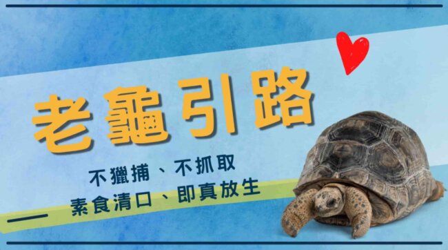 放生感應，老龜引路，放生護生，觀音山保育放流，龍德上師保育放流，龍德上師，觀音山放生