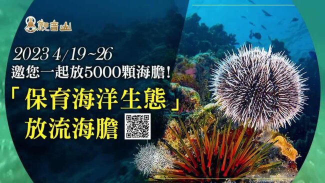 觀音山保育放流施放5000顆海膽！愛護海洋生態‧保育放流活動，歡迎護持與響應，龍德上師慈善事業，放生、護生善行，龍德上師，龍德上師保育放流，觀音山放生，放生活動