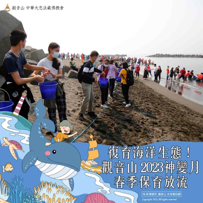 觀音山春季保育放流，施放30萬隻黃鰭雕魚苗及黃錫雕魚苗，還有4萬多隻螺貝，復育海洋生態！現場超過五百位同修法友共同參加，法喜充滿。龍德上師保育放流，龍德上師，觀音山放生