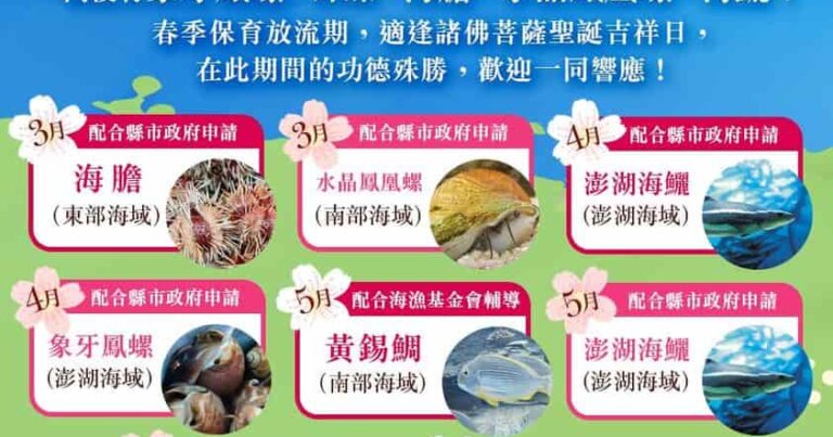 母親節搶救懷孕的海鱺媽媽 暨 2023春季 愛護海洋‧保育放流活動，觀音山保育放流施放物種，觀音山放生活動場次，龍德上師保育放流，龍德上師，觀音山放生