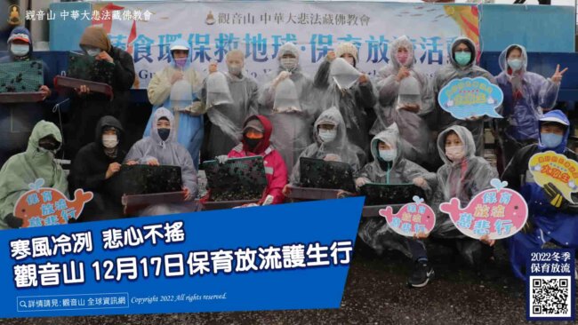 觀音山冬季保育放流護生行，在海漁基金會的專業輔導之下，現場超過百人參與放生活動，觀音山放生，龍德上師護生善行 ，放生，龍德上師，龍德上師保育放流