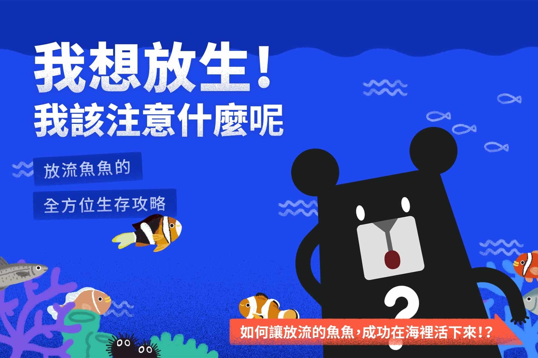 liferelease-correctly