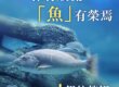 銀紋笛鯛,觀音山保育放流放生物種,放流物種,魚苗放流,保育放流