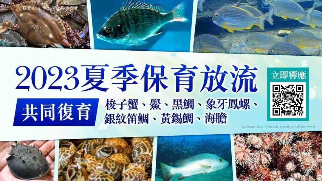 summer liferelease (4)