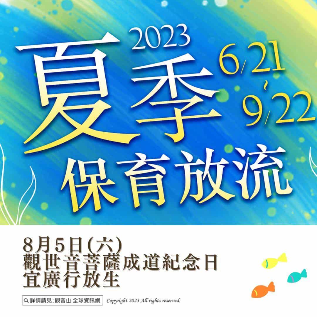 summer liferelease (5)