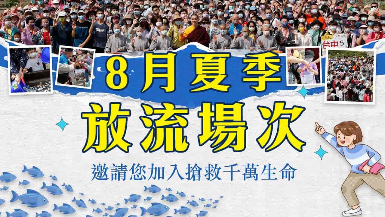 summer liferelease (6)