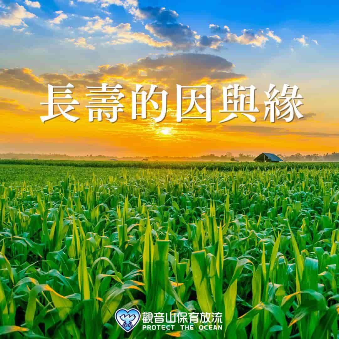 The causes of longevity