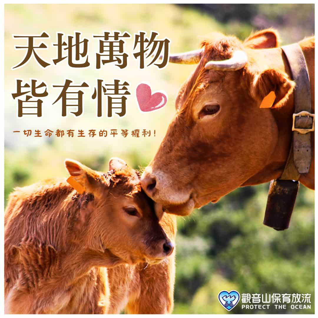 everything is sentient