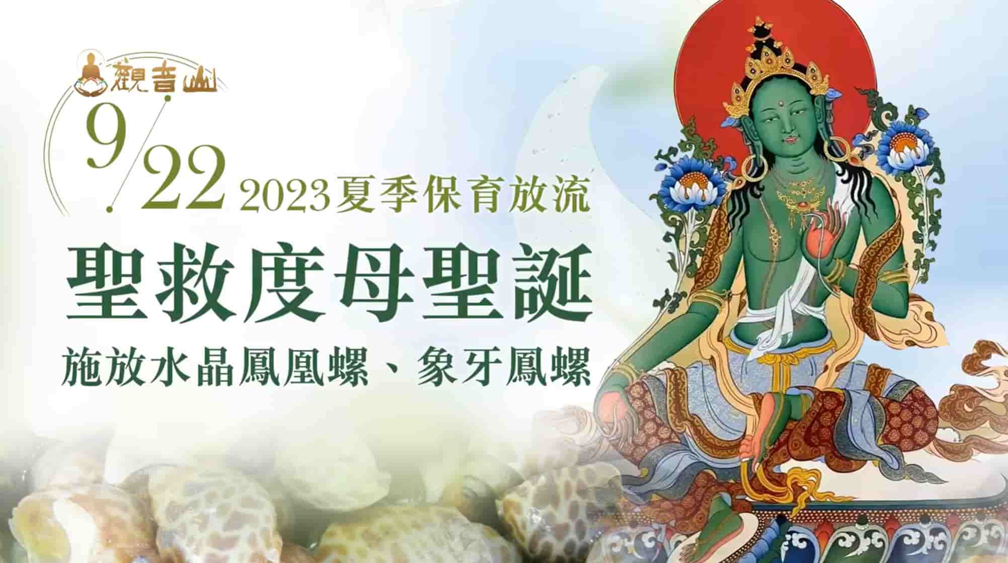 summer liferelease (8)