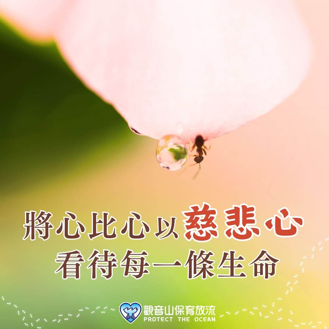 treat life with compassion