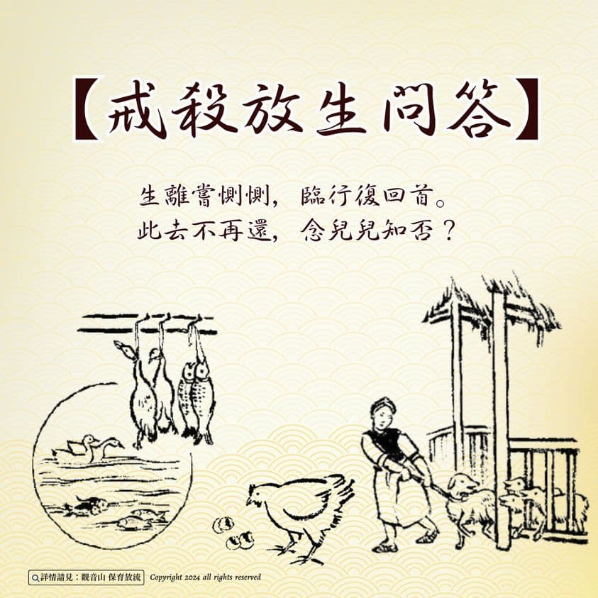 precautions-for-liferelease