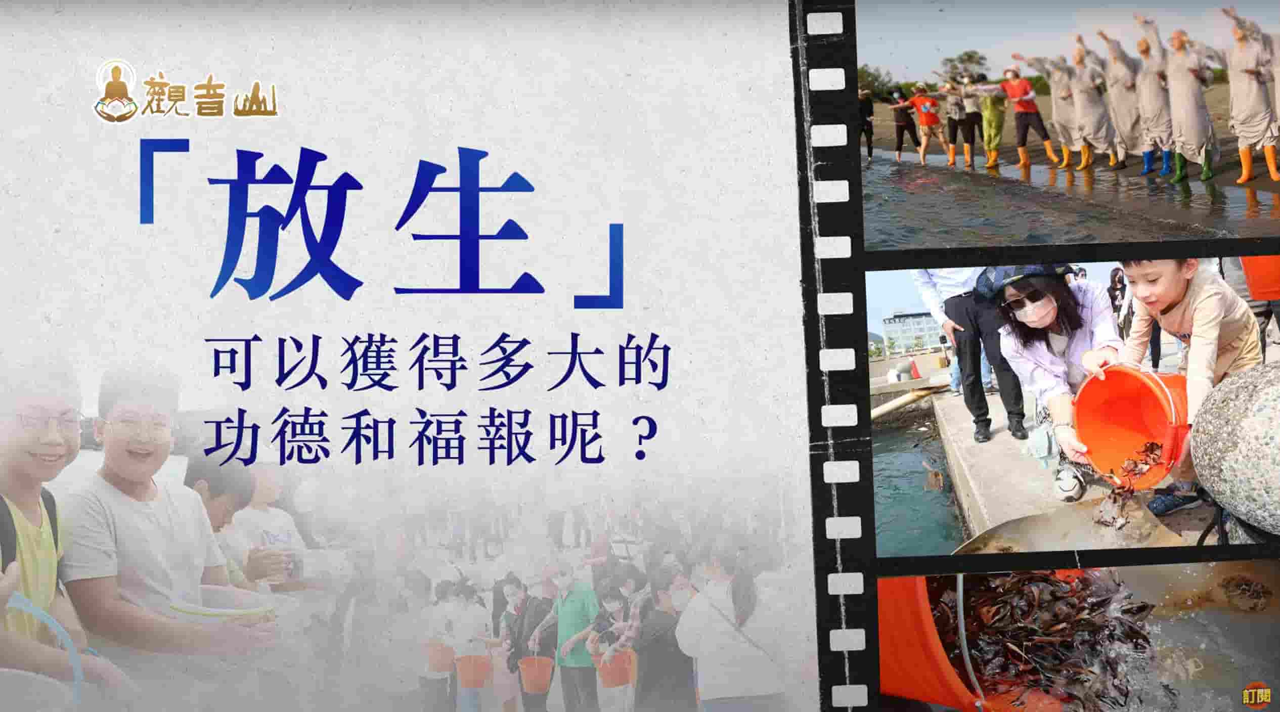 liferelease merit 放生功德 保育放流 放生 放流 龍德上師護生慈善 放生活動 最新放生活動