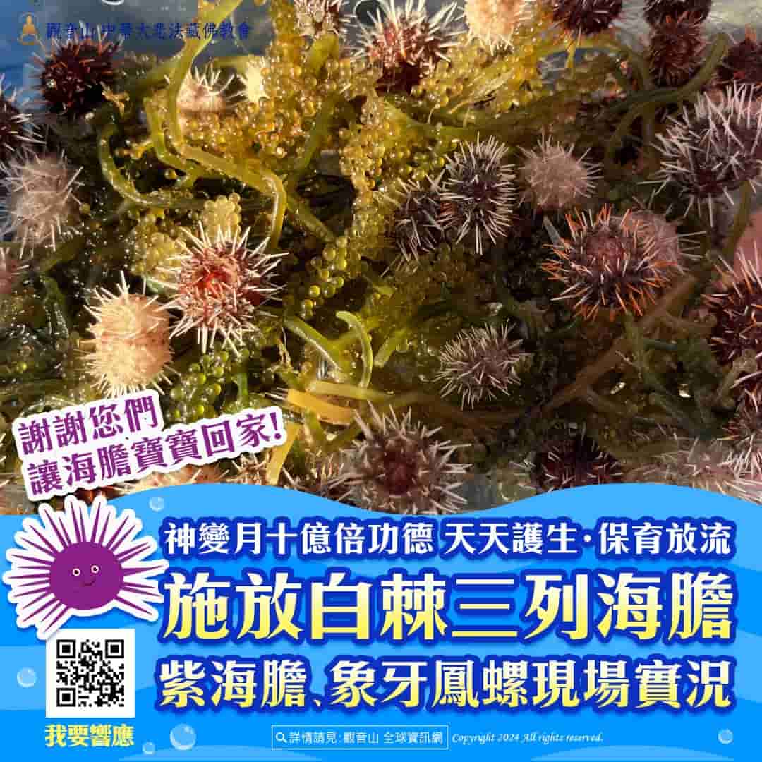 sea-urchin-liferelease-results-report (3)