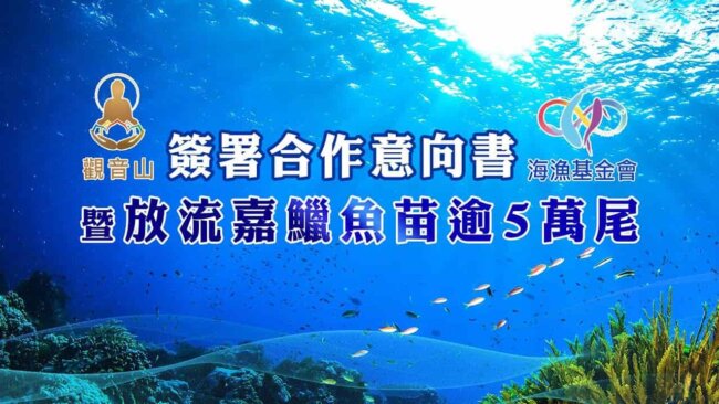 觀音山 中華大悲法藏佛教會與臺灣海洋保育與漁業永續基金會(海漁基金會)簽署合作意向書暨放流嘉鱲魚苗逾5萬尾，龍德上師護生慈善，正確魚苗放流，正確放流，觀音山保育放流，每月放生活動，哪裡有放生，放流，放生功德，放生，放生活動，最新放生活動，龍德上師，龍德上師保育放流，龍德上師護生慈善，保育放流，護生，魚苗放流，戒殺護生，正確放生，合法放生，合法保育放流，護生善行，龍德嚴淨仁波切，龍德上師保育放流，合法放流