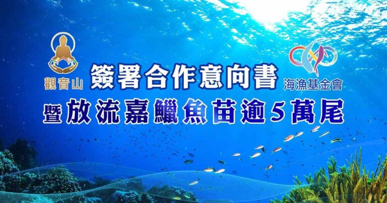 觀音山 中華大悲法藏佛教會與臺灣海洋保育與漁業永續基金會(海漁基金會)簽署合作意向書暨放流嘉鱲魚苗逾5萬尾，龍德上師護生慈善，正確魚苗放流，正確放流，觀音山保育放流，每月放生活動，哪裡有放生，放流，放生功德，放生，放生活動，最新放生活動，龍德上師，龍德上師保育放流，龍德上師護生慈善，保育放流，護生，魚苗放流，戒殺護生，正確放生，合法放生，合法保育放流，護生善行，龍德嚴淨仁波切，龍德上師保育放流，合法放流