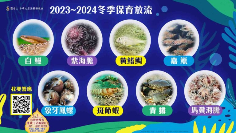 觀音山保育放流，放生物種，放流，物種介紹，放生，最新放生活動，龍德上師，龍德上師保育放流，龍德上師護生慈善，冬季保育放流，海洋生態復育