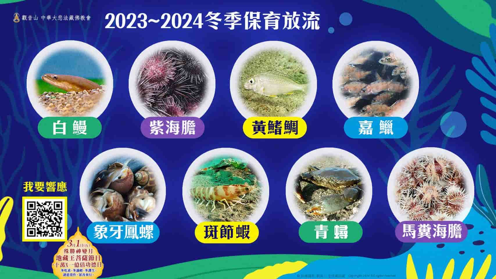 觀音山保育放流，放生物種，放流，物種介紹，放生，最新放生活動，龍德上師，龍德上師保育放流，龍德上師護生慈善，冬季保育放流，海洋生態復育