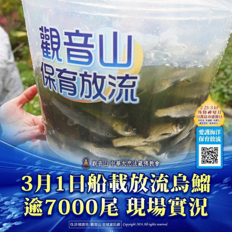 觀音山保育放流，每月放生活動，哪裡有放生，放流，放生功德，放生，放生活動，最新放生活動，龍德上師，龍德上師保育放流，龍德上師護生慈善，保育放流，護生，魚苗放流，戒殺護生，正確放生，合法放生，合法保育放流，對的方式，正確魚苗放流方式，魚苗放流有哪幾種，船載放流，護生善行，龍德嚴淨仁波切，龍德上師保育放流