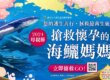 觀音山春季保育放流,正確魚苗放流,正確放流,合法放生,合法保育放流,觀音山保育放流,每月放生活動,哪裡有放生,放流,放生,放生活動,最新放生活動,龍德上師,龍德上師保育放流,龍德上師護生慈善,保育放流,護生,魚苗放流,戒殺護生,正確放生,對的方式,護生善行,龍德嚴淨仁波切,搶救懷孕的海鱺媽媽,海鱺媽媽,母親節