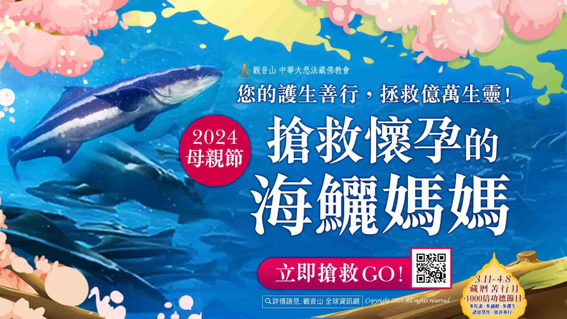 觀音山春季保育放流，正確魚苗放流，正確放流，合法放生，合法保育放流，觀音山保育放流，每月放生活動，哪裡有放生，放流，放生，放生活動，最新放生活動，龍德上師，龍德上師保育放流，龍德上師護生慈善，保育放流，護生，魚苗放流，戒殺護生，正確放生，對的方式，護生善行，龍德嚴淨仁波切，搶救懷孕的海鱺媽媽，海鱺媽媽，母親節