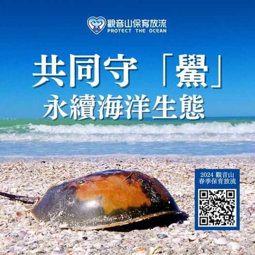 鱟，鱟施放，永續海洋生態，觀音山春季保育放流，正確魚苗放流，正確放流，合法放生，合法保育放流，觀音山保育放流，每月放生活動，哪裡有放生，放流，放生，放生活動，最新放生活動，龍德上師，龍德上師保育放流，龍德上師護生慈善，保育放流，護生，魚苗放流，戒殺護生，正確放生，對的方式，護生善行，龍德嚴淨仁波切