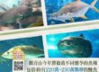 觀音山春季保育放流,正確魚苗放流,正確放流,合法放生,合法保育放流,觀音山保育放流,每月放生活動,哪裡有放生,放流,放生,放生活動,最新放生活動,龍德上師,龍德上師保育放流,龍德上師護生慈善,保育放流,護生,魚苗放流,戒殺護生,正確放生,對的方式,護生善行,龍德嚴淨仁波切,搶救懷孕的海鱺媽媽,海鱺媽媽,母親節