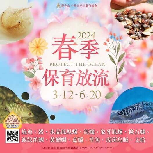 觀音山春季保育放流，正確魚苗放流，正確放流，合法放生，合法保育放流，觀音山保育放流，每月放生活動，哪裡有放生，放流，放生，放生活動，最新放生活動，龍德上師，龍德上師保育放流，龍德上師護生慈善，保育放流，護生，魚苗放流，戒殺護生，正確放生，對的方式，護生善行，龍德嚴淨仁波切，搶救懷孕的海鱺媽媽，海鱺媽媽，母親節