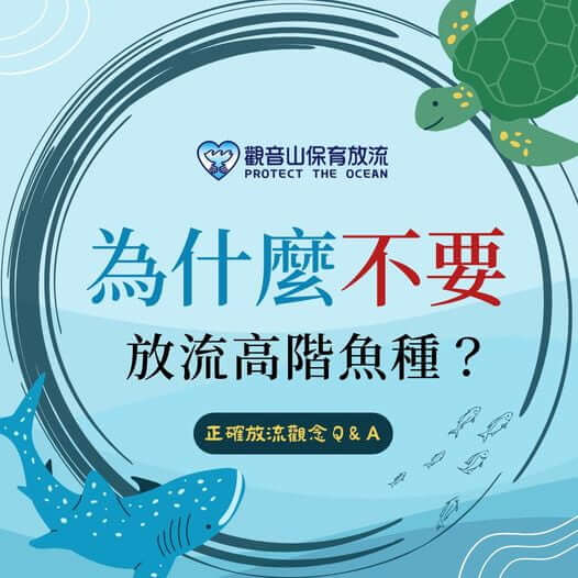 為什麼不要放流高階魚種？放生正確觀念，放流正確觀念，保育放流，觀音山放生，龍德上師保育放流，最新放生活動，觀音山保育放流，放生，放流，魚苗放流，正確放生