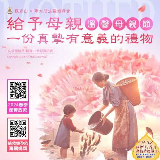 母親節禮物，放生活動，放流，保育放流，母親節，觀音山放生，搶救懷孕的海鱺媽媽