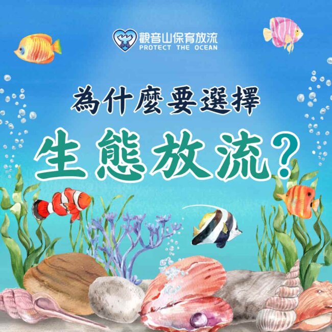 為什麼要選擇生態放流？觀音山保育放流，放生，放流，魚苗放流，正確放生，觀音山放生，龍德上師保育放流，放生正確觀念，放流正確觀念