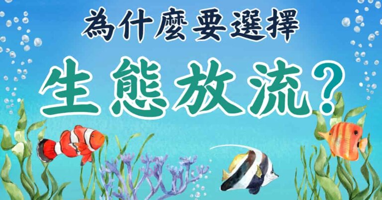 為什麼要選擇生態放流？觀音山保育放流，放生，放流，魚苗放流，正確放生，觀音山放生，龍德上師保育放流，放生正確觀念，放流正確觀念