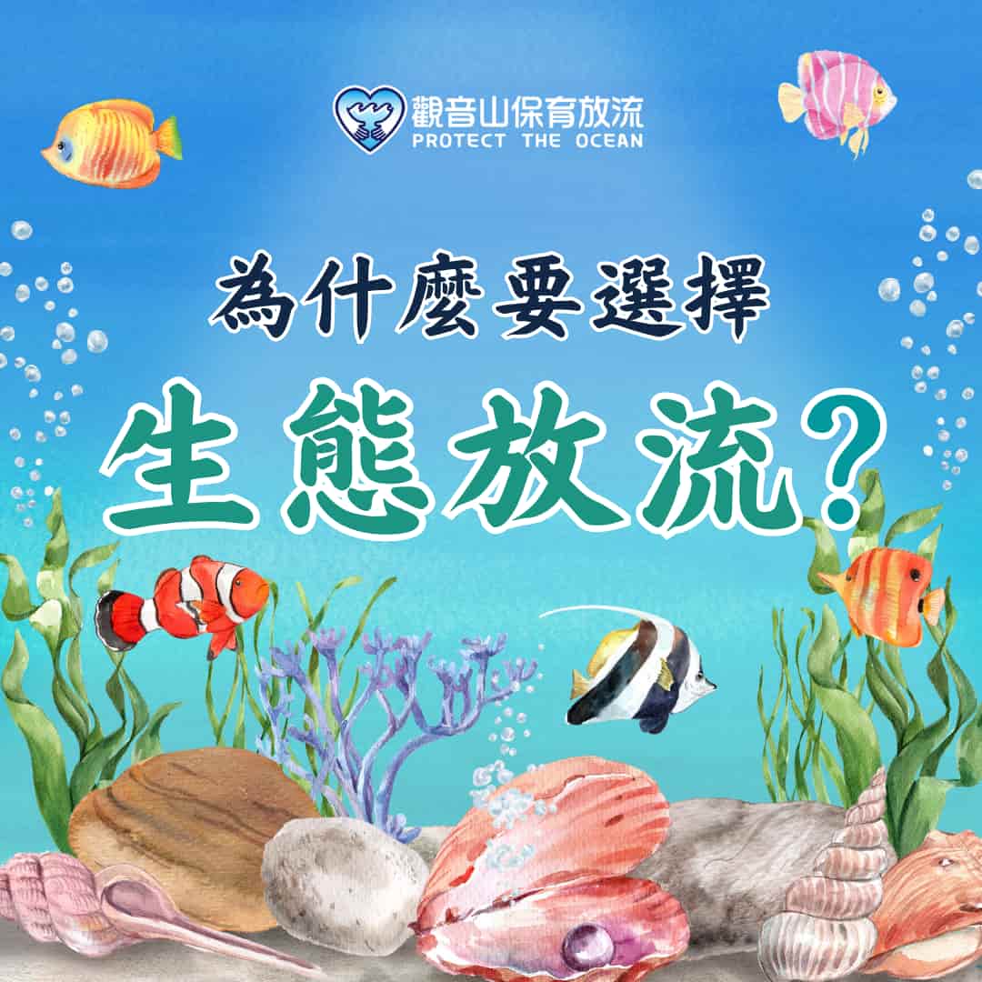 為什麼要選擇生態放流？觀音山保育放流，放生，放流，魚苗放流，正確放生，觀音山放生，龍德上師保育放流，放生正確觀念，放流正確觀念